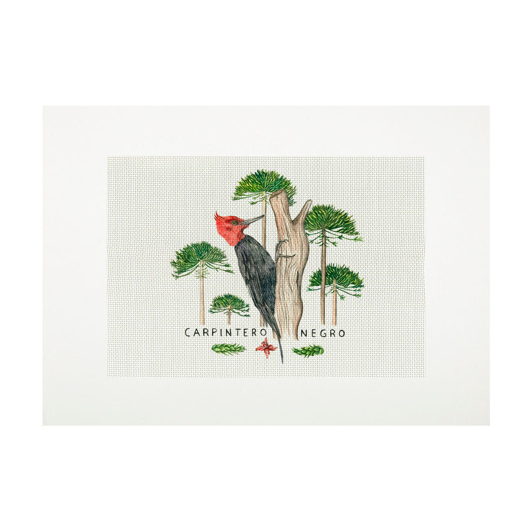 Lienzo para bordar Carpintero Negro