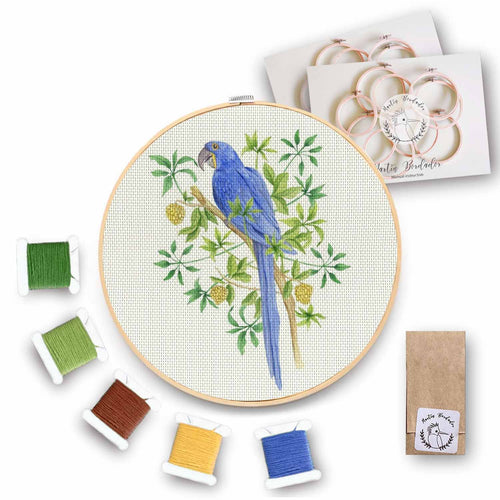 Mini Kit para bordar Guacamayo Azul