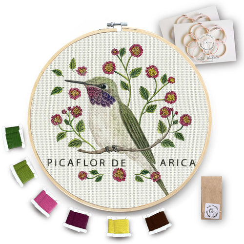 Kit XL Bastidor 30cm Picaflor de Arica